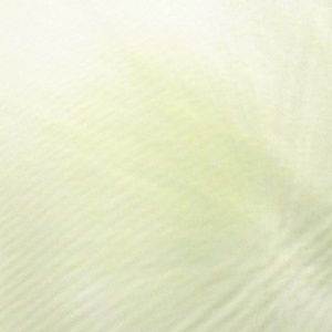 Meet your Posher, Katrinka